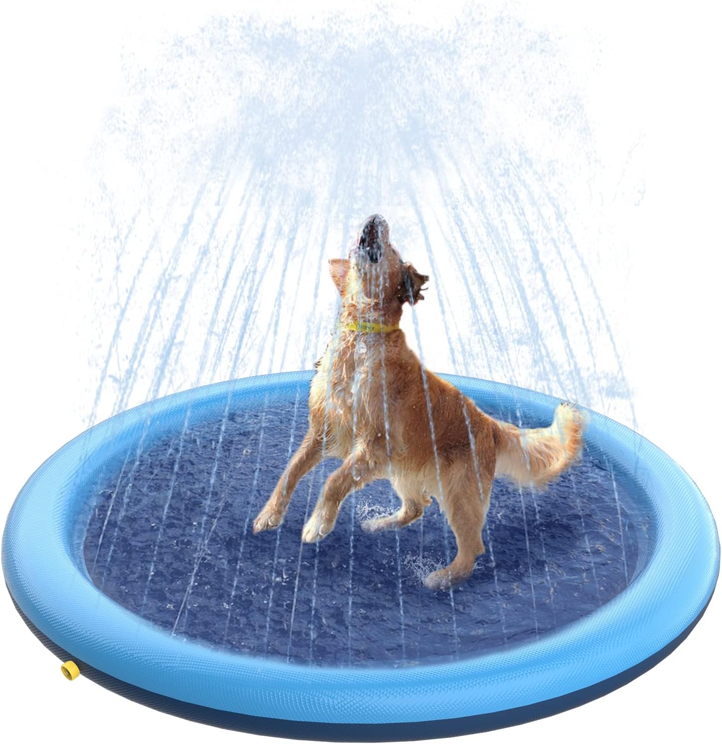 Dog splash pad